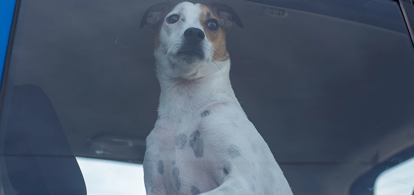 Car Lockout Solutions in Folsom, California